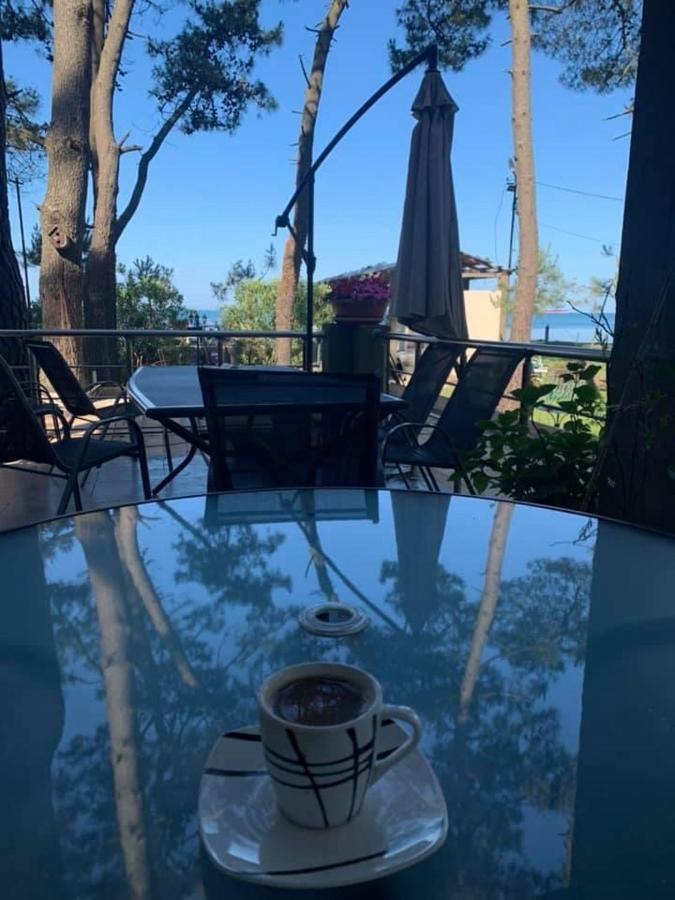 Mana-Mana Hotel Grigoleti Eksteriør billede